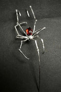 Pendientes de Araña Punk de Halloween