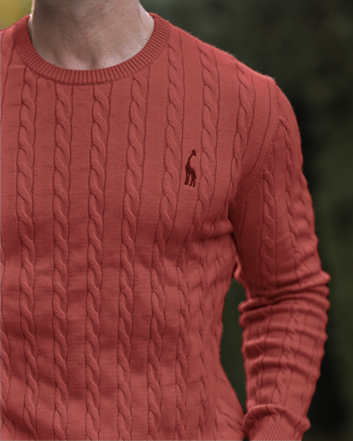 Jersey de punto trenzado para hombre – Estilo otoñal elegante